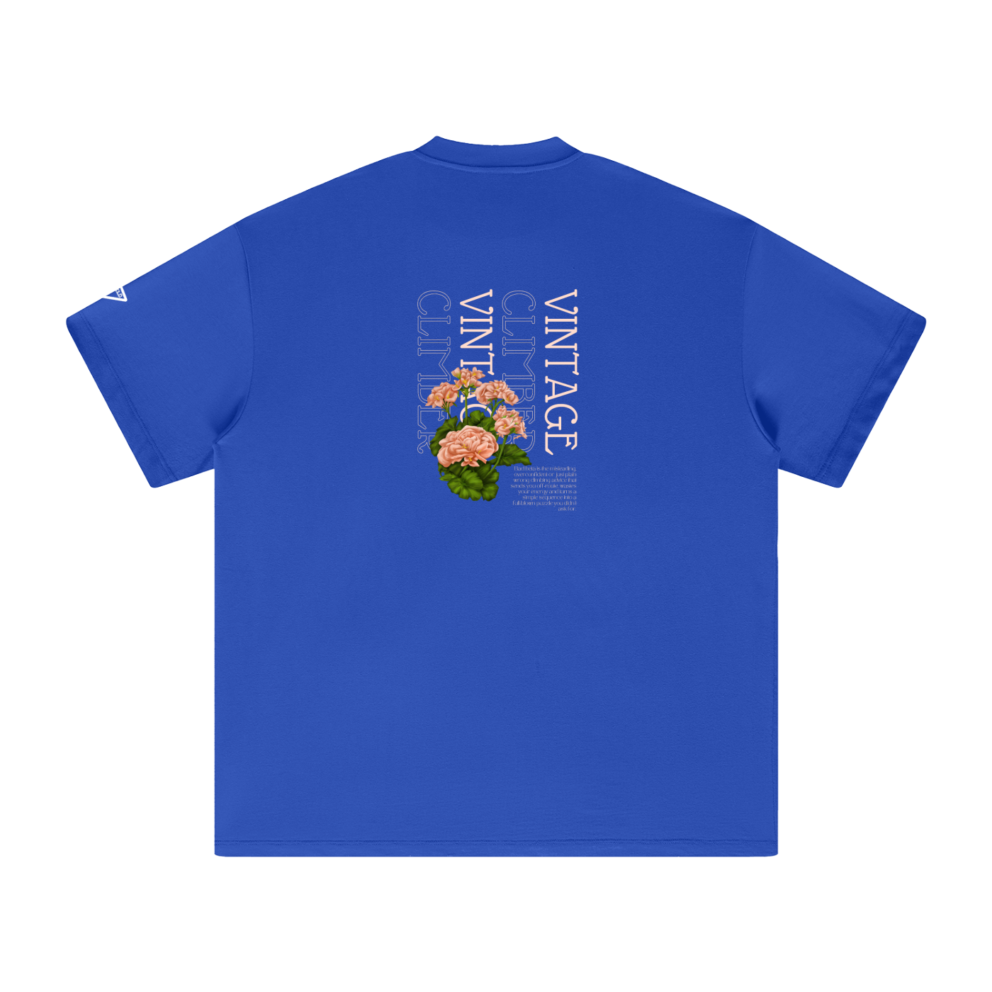 Vintage Climber Big-Fit Cotton T-Shirt