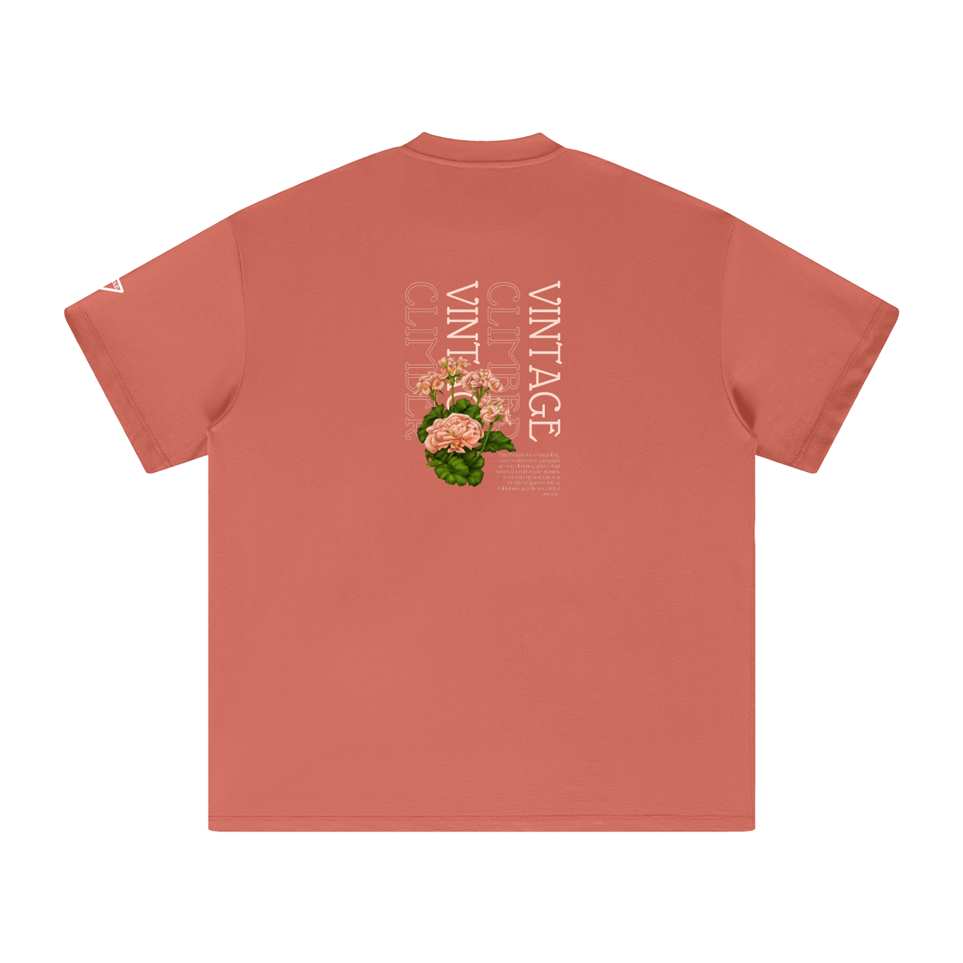 Vintage Climber Big-Fit Cotton T-Shirt