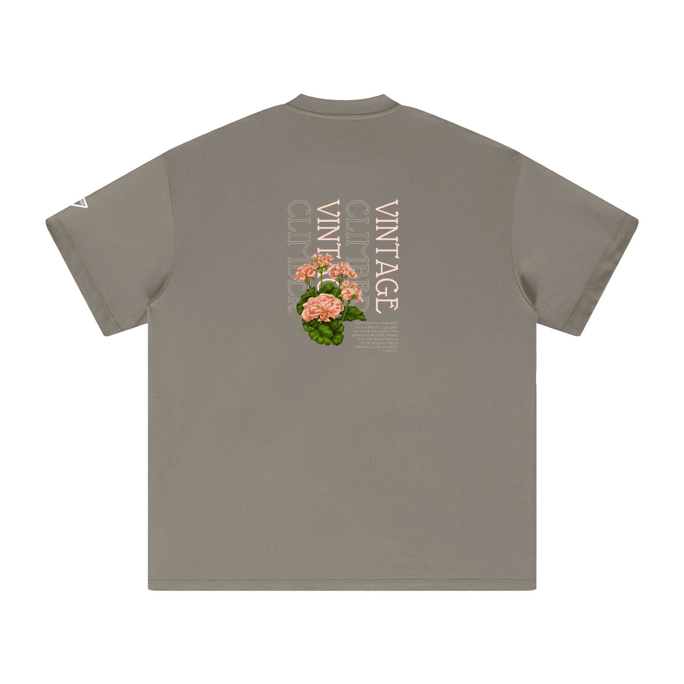 Vintage Climber Big-Fit Cotton T-Shirt