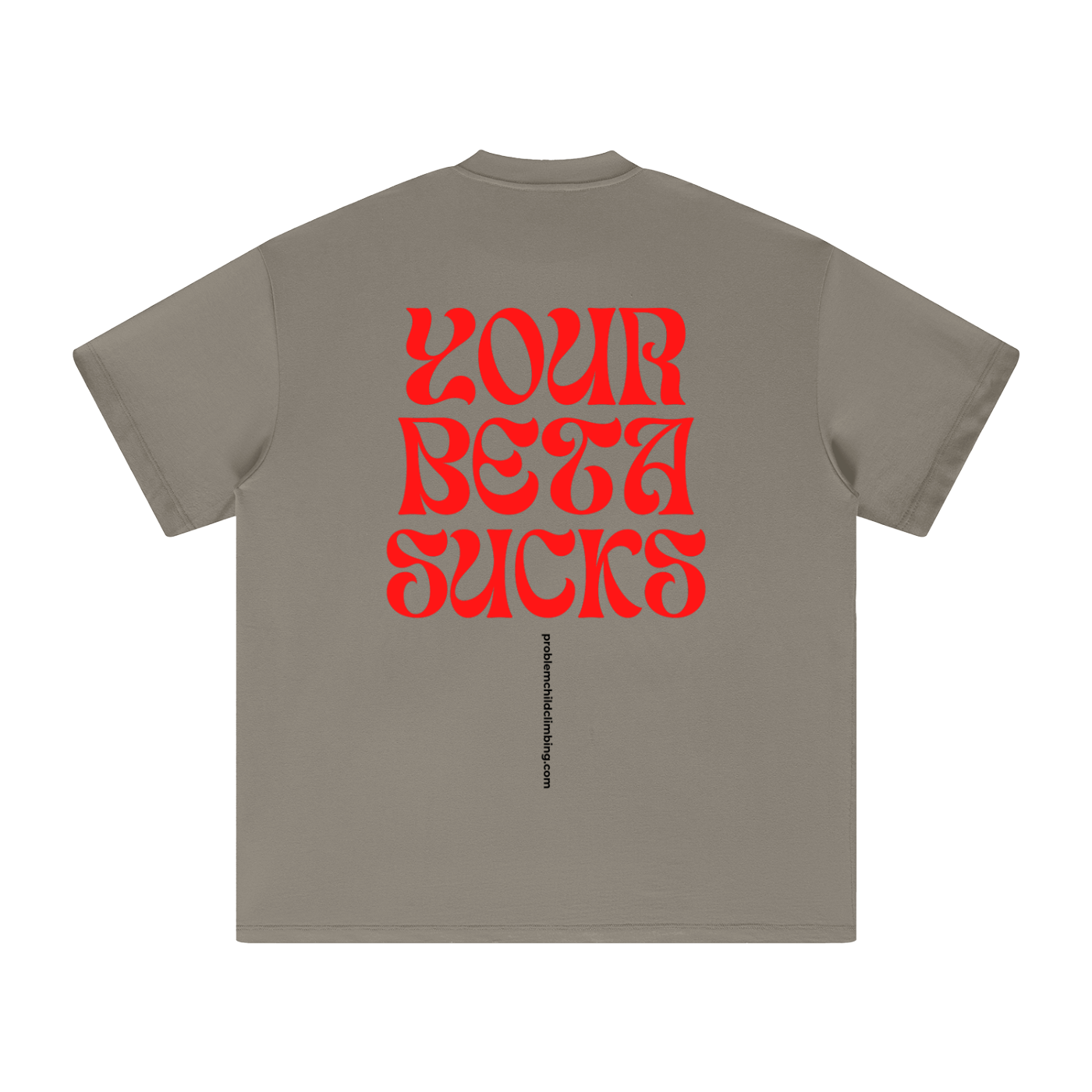 Sucky Beta Big-Fit Cotton T-Shirt