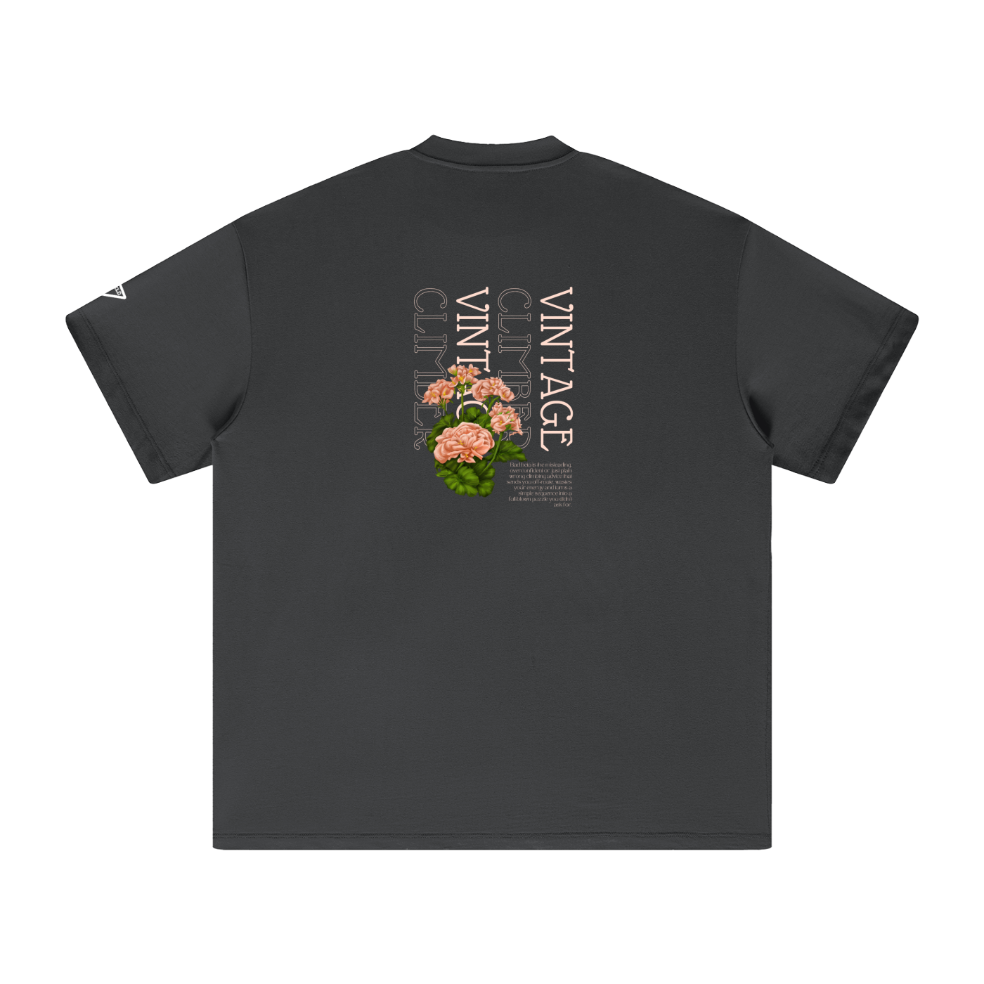 Vintage Climber Big-Fit Cotton T-Shirt